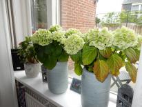 Marconistraat 60, Kruiningen - foto 32